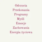 samoprogramowanie